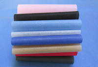 湘西涤纶（PET）无纺布是什么